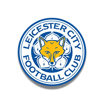 华体会-HTH SPORTS-LEICESTER-CITY